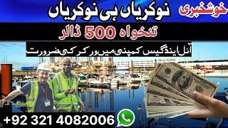 worker visa for pakistan. Work visas for pakistan. labour visa. labour visa information