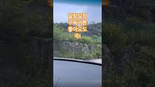 부르르르르르 판타핌 #브르르브르르 #너의목소리가들려