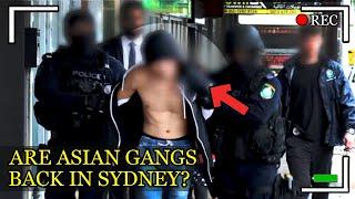 Is Asian Organised Crime Taking Over Sydney?