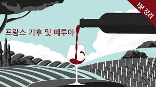 프랑스 기후 및 떼루아 | 와인 생산 지역 이야기 | 와인 기초 | 와인공부 | 1분 정리