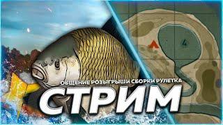 Ахтуба ⭐ ТРОФЕИ БУФФАЛО и ЧЁРНЫЕ Рулетка & Розыгрыши  СТРИМ РР4