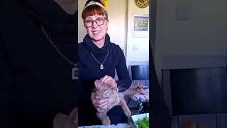 Уникальное растение! Бери и делай! Оздоровление организма Польза Профилактика