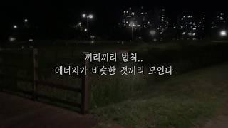 사람은 결국 끼리끼리 어울리게 되어 있다. 나에게 벌어진 모든 일은 내가 그런사람일 가능성이 크다.