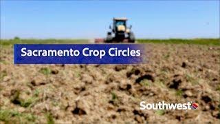 Sacramento Crop Circles