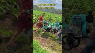 Amazing Farming Machine in Action  | JUST KD Agriculture | Part 126
