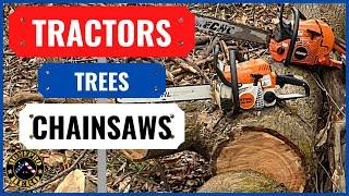 Efficient Firewood Handling: From Tree Felling to Splitting