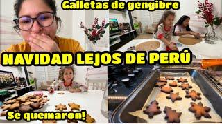 LO DURO DE LA NAVIDAD EN TURQUÍA  / GALLETITAS DE GENGIBRE 