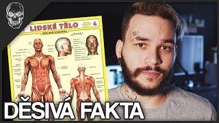 DĚSIVÁ FAKTA O LIDSKÉM TĚLE