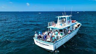 Most Affordable Fishing! “Miss Islamorada” Headboat Trip with Mission Fishin! Catch and Cook