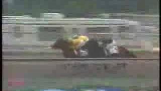 1988 Preakness Stakes