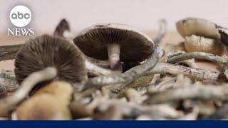 Oregon allows legal 'Magic Mushrooms' access to improve mental health