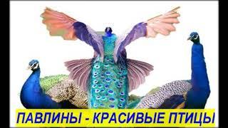 Красота. Природа. Красивые пейзажи и достопримечательности
