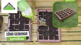 Cómo germinar semillas | LEROY MERLIN