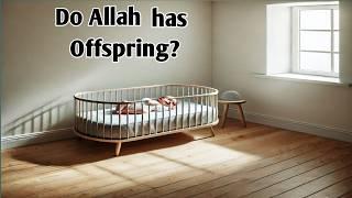 Do Allah has begotten children?