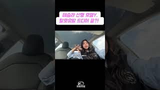테슬라 신형 모델Y 탈모에 괜찮...다?!