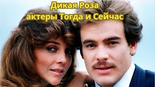 Тогда и Сейчас актеры сериала Дикая Роза