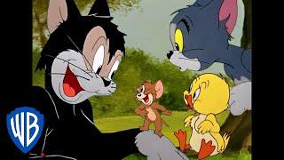 Tom & Jerry | Best Side Characters | Classic Cartoon Compilation | WB Kids