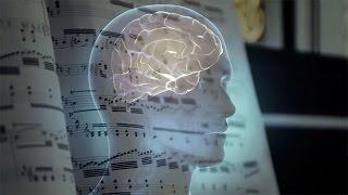 Are musical tastes cultural or hardwired in the brain?