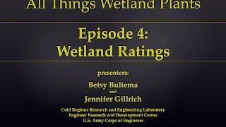 Wetland Ratings