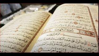 Beautiful Quran Recitation 10 Hours No Ads Hason Nyuki Live Stream @97JoDop  #quran #islam #fyp