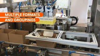 American Box Pick-and-Place Automatic Packaging Machine