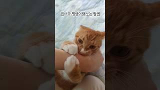 서열 1위는 나야 나 (집사) #shorts