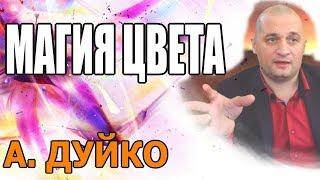 Дуйко Гуру Школа Кайлас