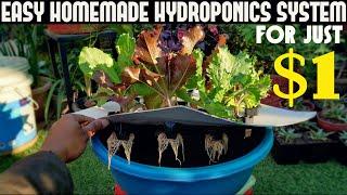 Cheapest Hydroponic System For Everyone | Under $1/100 Rs