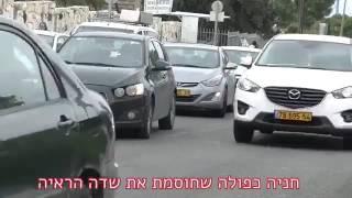 סכנת נפשות בחיפה - צומת טשרניחובסקי-אדמונד פלג בכרמל הצרפתי