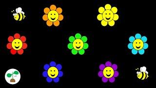 Baby Sensory Video | Flowers | High Contrast Colours, Music and Fun Animation.