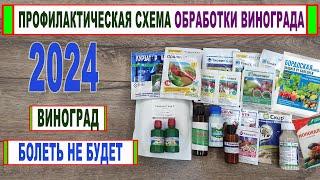  Схема ОБРАБОТКИ ВИНОГРАДА от БОЛЕЗНЕЙ и вредителей на 2024 год. Как СПАСТИ ВИНОГРАД? Фото болезней