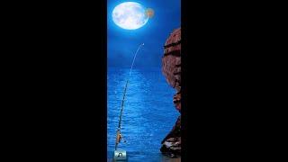 Let's Fish. Австралия. Залив акул #2