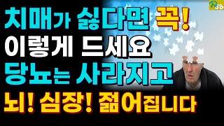 하버드 의대가 10년 연구한 치매! 당뇨를 예방하고 심장을 튼튼하게하는 뇌를 10년 젊게 하는 음식-치매가 싫다면 2탄