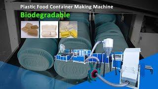 Biodegradable Corn Starch Food Container Lunch Box Making Automatic Thermoforming Machine