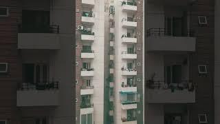 monkey stolen a chips  packer from 8th floor #shorts #youtube #subscribe