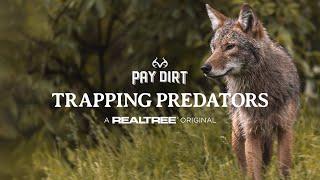 The Best Coyote Trapping Advice for Rookies | Predator Trapping 101 | Land Management