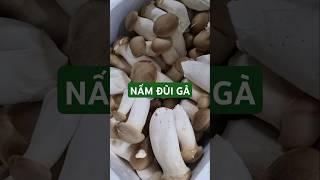 Nấm đùi gà Việt, thân NẤM chắc, ngon ngọt #food #namduiga