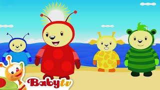 Lots of Colours  | The Picaro Show | BabyTV