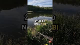Szczupak na Tanią Gumę z Ali #wędkarstwo #spinning #fishing
