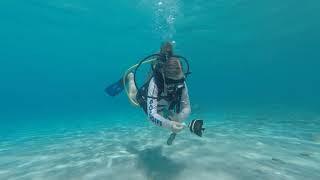 Searching for Mermaids in Bonaire | Sailing Catamaran Element