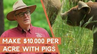 How to take marginal land and turn it into $10,000/acre with pigs | Joel Salatin