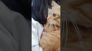 나 집사 좋아!! 아무생가 안함 ㅋㅋ