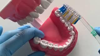 Oral Health Training