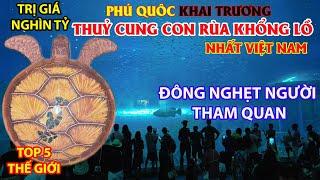 [PHÚ QUỐC] Khai Trương Thuỷ Cung Con Rùa Khổng Lồ Trị Giá Nghìn Tỷ - Review Chi Tiết Nhất!!!!