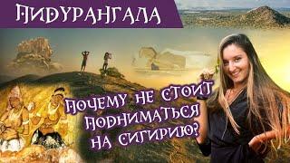 Сигирия или Пидурангала? Как сэкономить, но увидеть знаменитую скалу Сигирию?