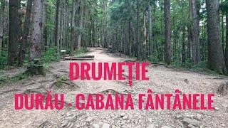 Traseu Durau - Cabana Fantanele