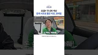 테슬라 흰색시트 후회 안합니다 #모델Y주니퍼