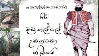 1818 කැරැල්ල /මඩුගල්ලේ නිලමේ සැඟවී සිටි  කුබුක් ගහ සොයා  වනාන්තරය මැදින් ගිය ගමන/ මඩුගල්ලේ වලව්ව