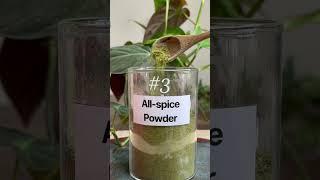 Spice powders from 🫚