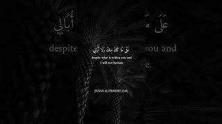 Credit: @piousofislaam on Instagram - This is the mercy of your Lord, Allah